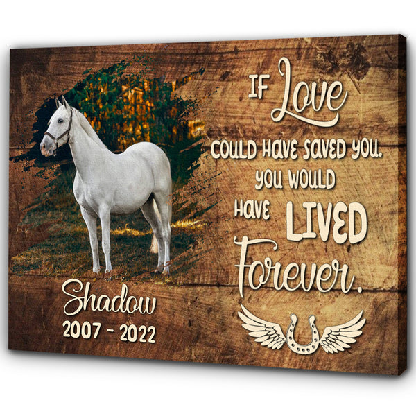 Horse Memorial Canvas Gift| Sympathy Gifts For Loss of Horse Horse Pet Bereavement NXM240