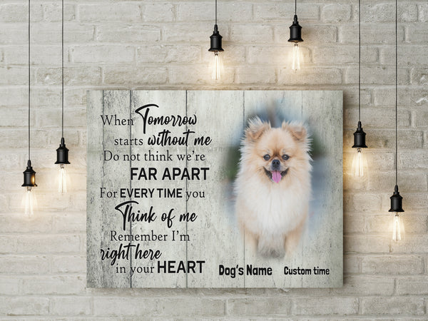 Personalized Memorial Gifts for Loss of Dog Cat Breavement Sympathy Canvas with Your Custom Photo VTQ31